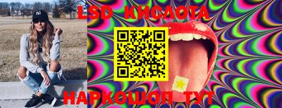 индика Моздок