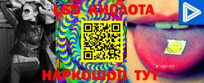 apvp Можга