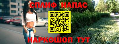 индика Можайск