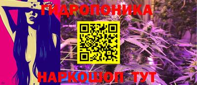 apvp Можга