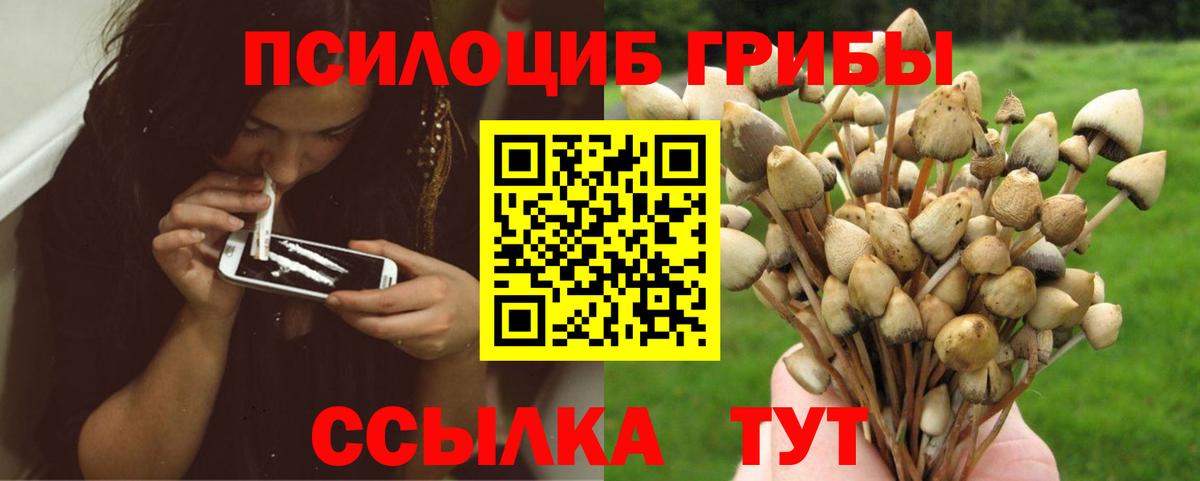 Псилоцибиновые грибы прущие грибы  Вход с VPN  Советская Гавань  Галлюциногенные грибы Psilocybine cubensis 
